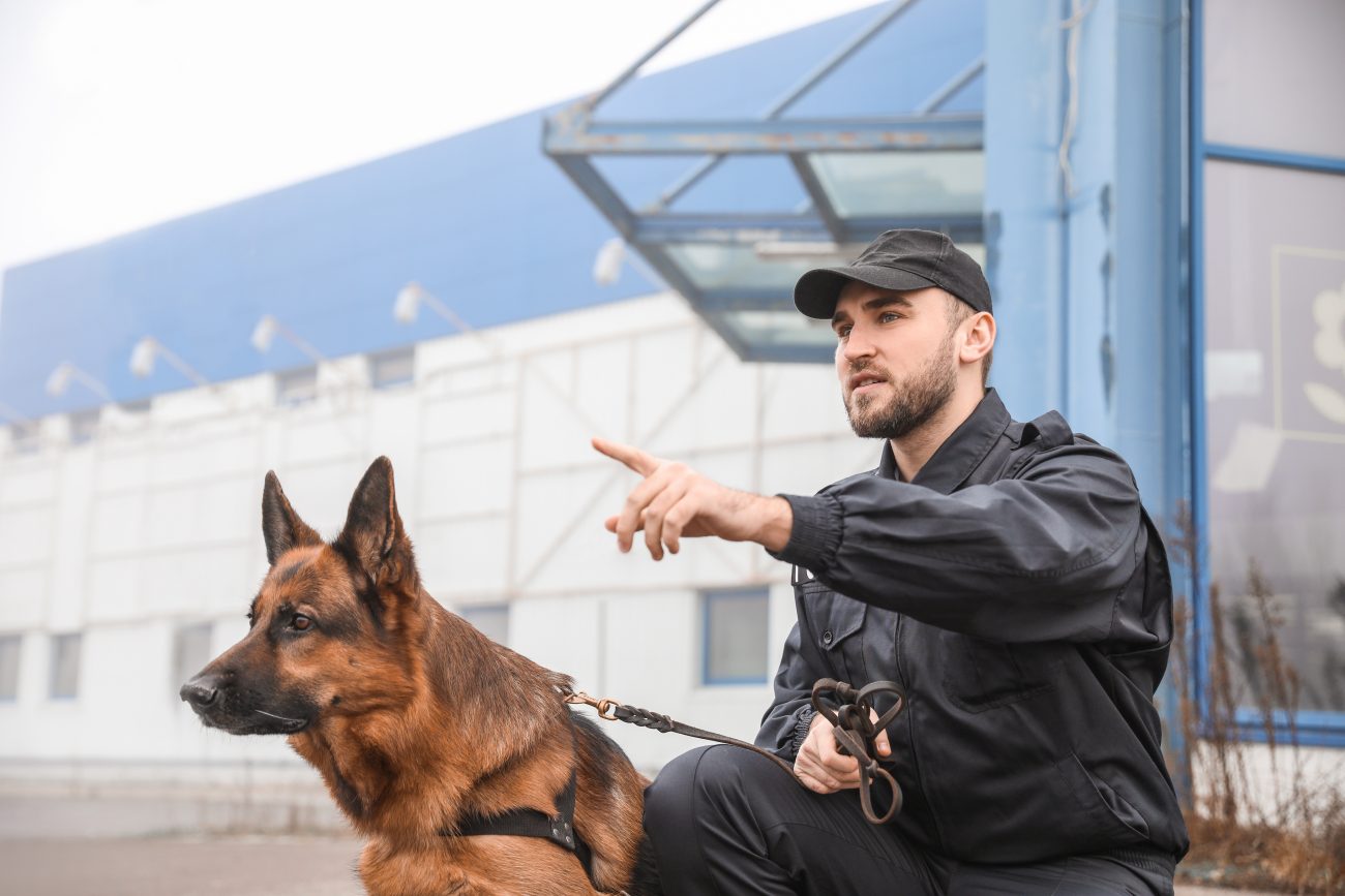 Agent cynophile